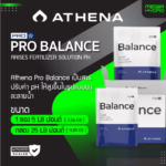 Athena Pro Balance ของแท้ 100% มี 2 ขนาด 5 และ 25 ปอนด์ พร้อมส่ง ผงปรับ ปรับค่า pH Up ละลายในน้ำได้