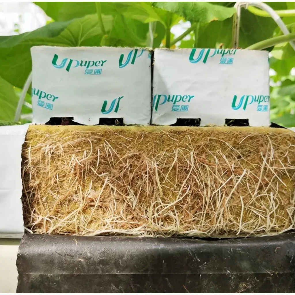 Rockwool Slab ขนาด 100cm ร็อควูล UPuper สูง8cm. ใยหินปลูกต้นไม้ ไฮโดรโปนิกส์ รากเดินไวโตเร็ว - Image 6