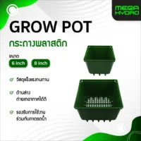 Grow Pot 6 นิ้วและ 8 นิ้ว กระถางปลูกต้นไม้พลาสติก ระบายอากาศได้ดี พร้อมใช้กับถาดรดน้ำ ปลูกต้นไม้