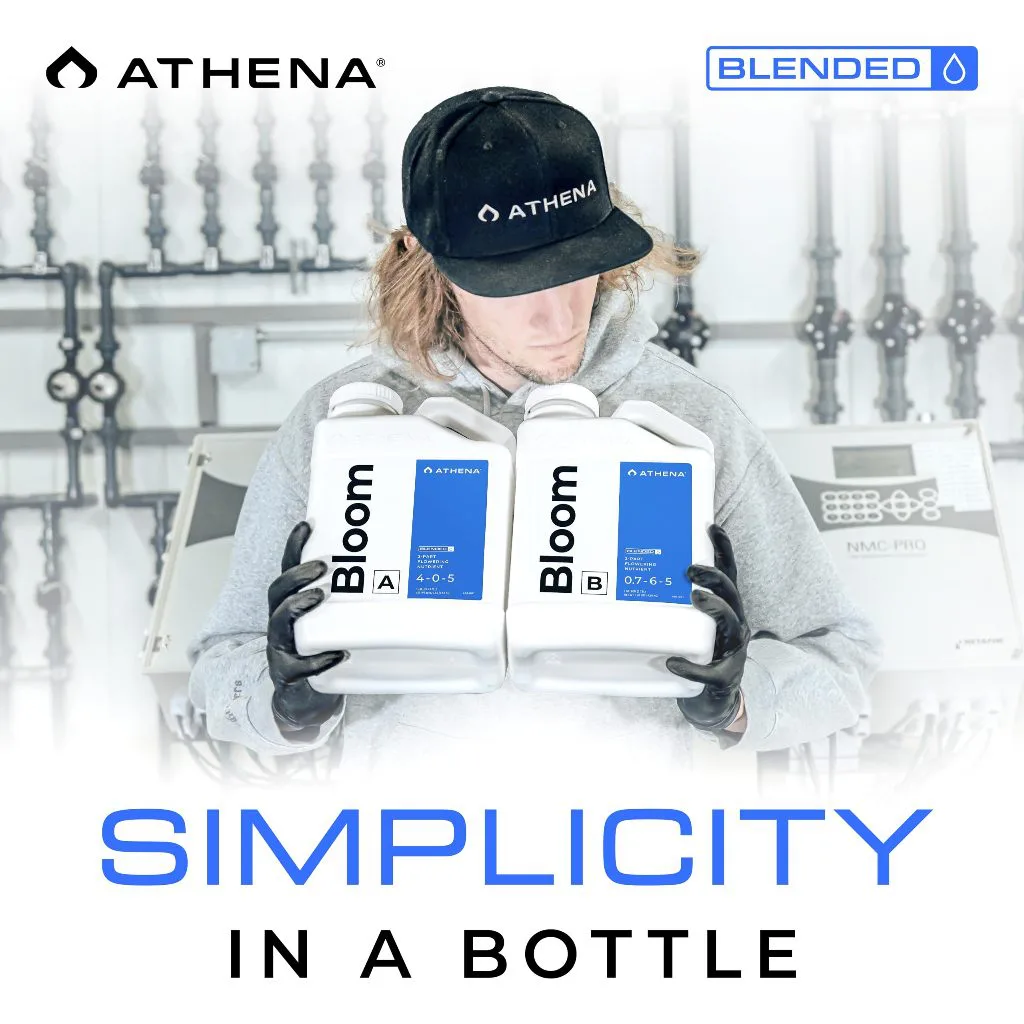 Athena Bloom B Blended ของแท้ 100% พร้อมส่ง ขนาด 32 ออนซ์ & 1 แกลลอน ธาตุอาหารหลักปุ๋ยทำดอก เร่งดอก - Image 8
