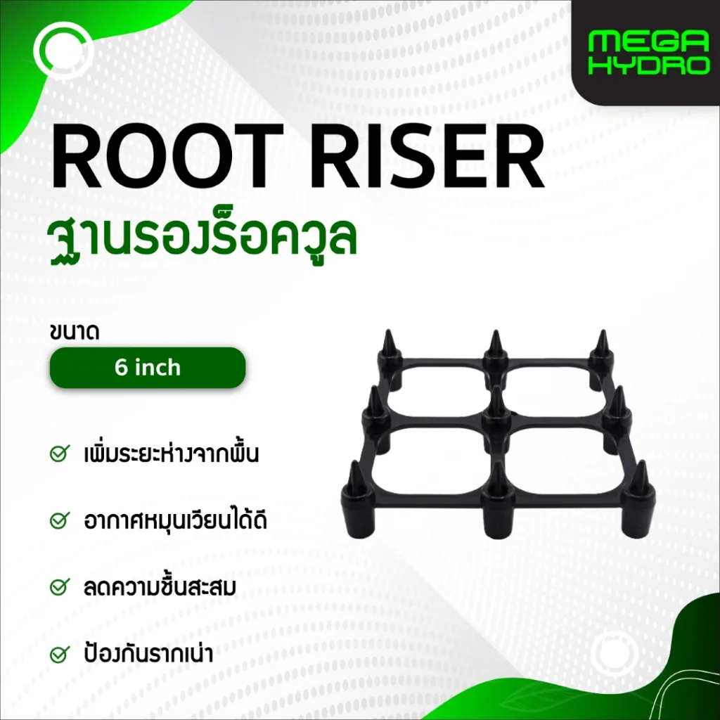 Root Riser ฐานรองร็อควูล 6 นิ้ว  ฐานยกราก ป้องกันการรากเน่า ลดความชื้นสะสม  6 " รูทไรเซอร์ Rockwool