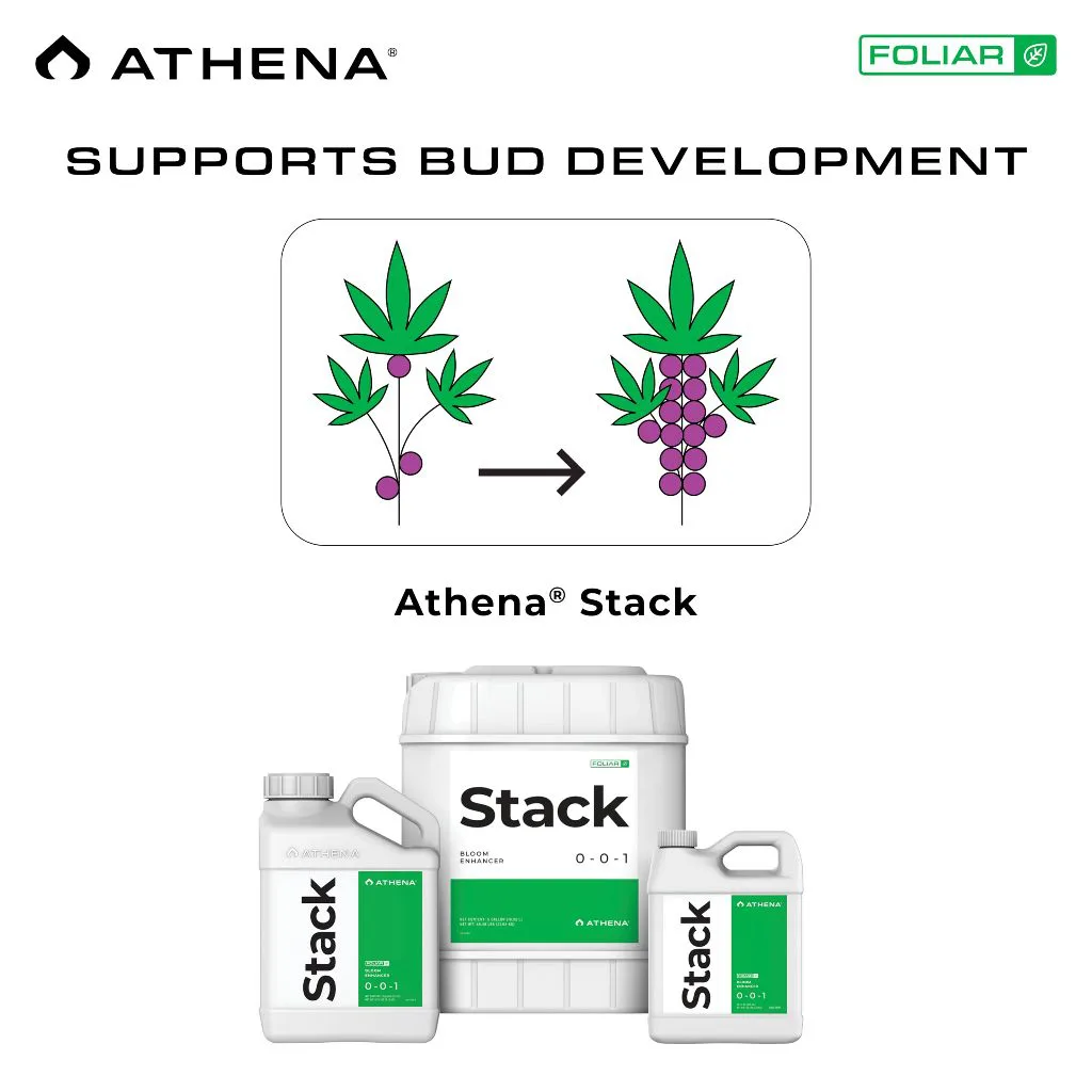 Athena Stack ของแท้ 100% พร้อมส่ง 32 ออนซ์ / 1 แกลลอน สารสกัดสาหร่ายเคลป์ เพิ่มความแข็งแรงของต้นพืช - Image 5
