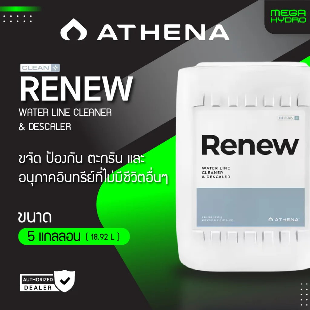 Athena Renew ของแท้ 100% พร้อมส่ง ขนาด 5 แกลลอน 18.9 L น้ำยาทำความสะอาด น้ำยาฆ่าเชื้อและคราบสกปรก