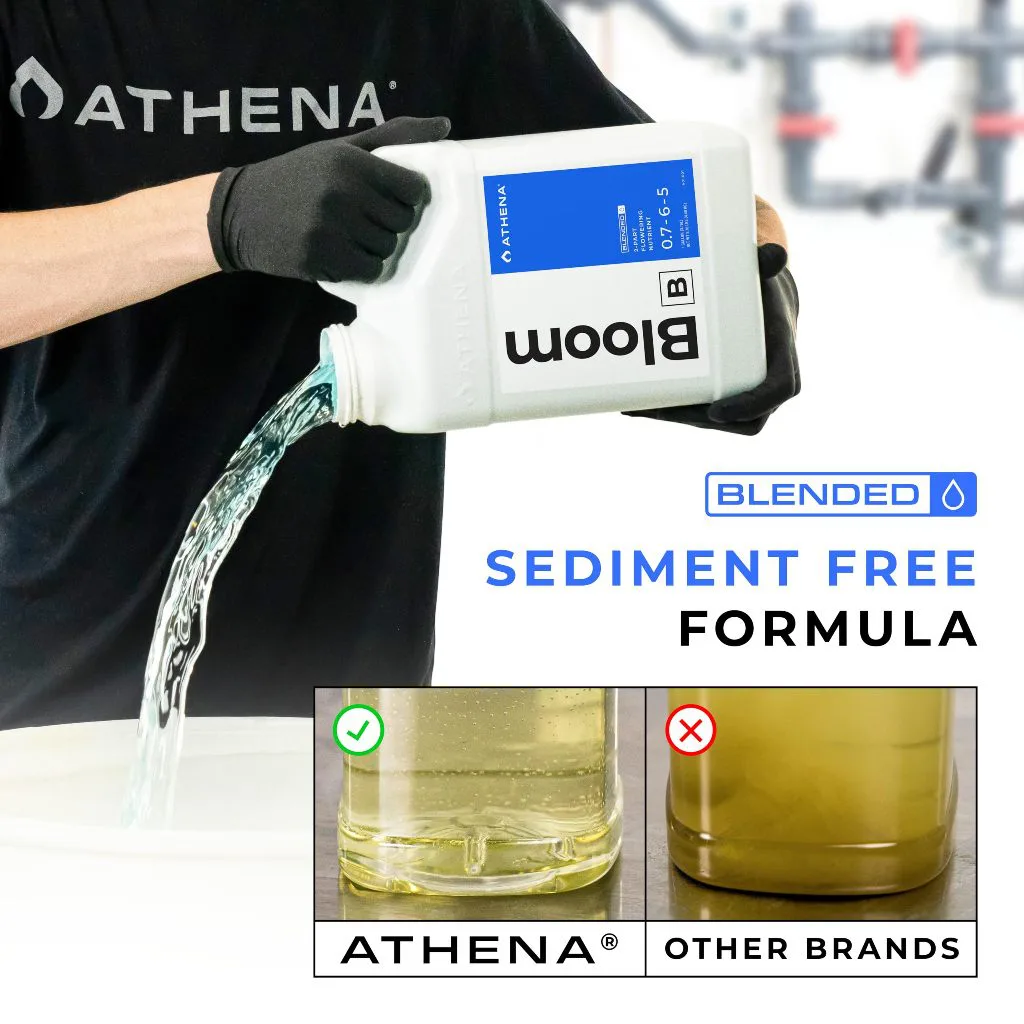 Athena Bloom B Blended ของแท้ 100% พร้อมส่ง ขนาด 32 ออนซ์ & 1 แกลลอน ธาตุอาหารหลักปุ๋ยทำดอก เร่งดอก - Image 4