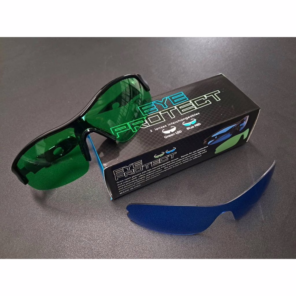แว่น Grow Room สำหรับห้องปลูก – เลนส์คู่พิเศษ สีเขียว + สีน้ำเงินพรีเมียม (Green + Extra Blue) - Image 4