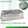 Seeding Tray Cover ฝาครอบควบคุมความชื้น ป้องกันรากเน่า ใช้กับถาดเพาะเมล็ด