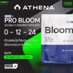 Athena Pro Bloom ปุ๋ยหลักเพิ่มน้ำหนักและกลิ่นดอก เสริมไตรโคมสำหรับช่วงทำดอก ถุง 25 ปอนด์ (11.36 kg)