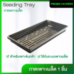 Seeding Tray ถาดเพาะเมล็ด สำหรับเพาะต้นกล้า ใช้กับระบบเพาะเมล็ด