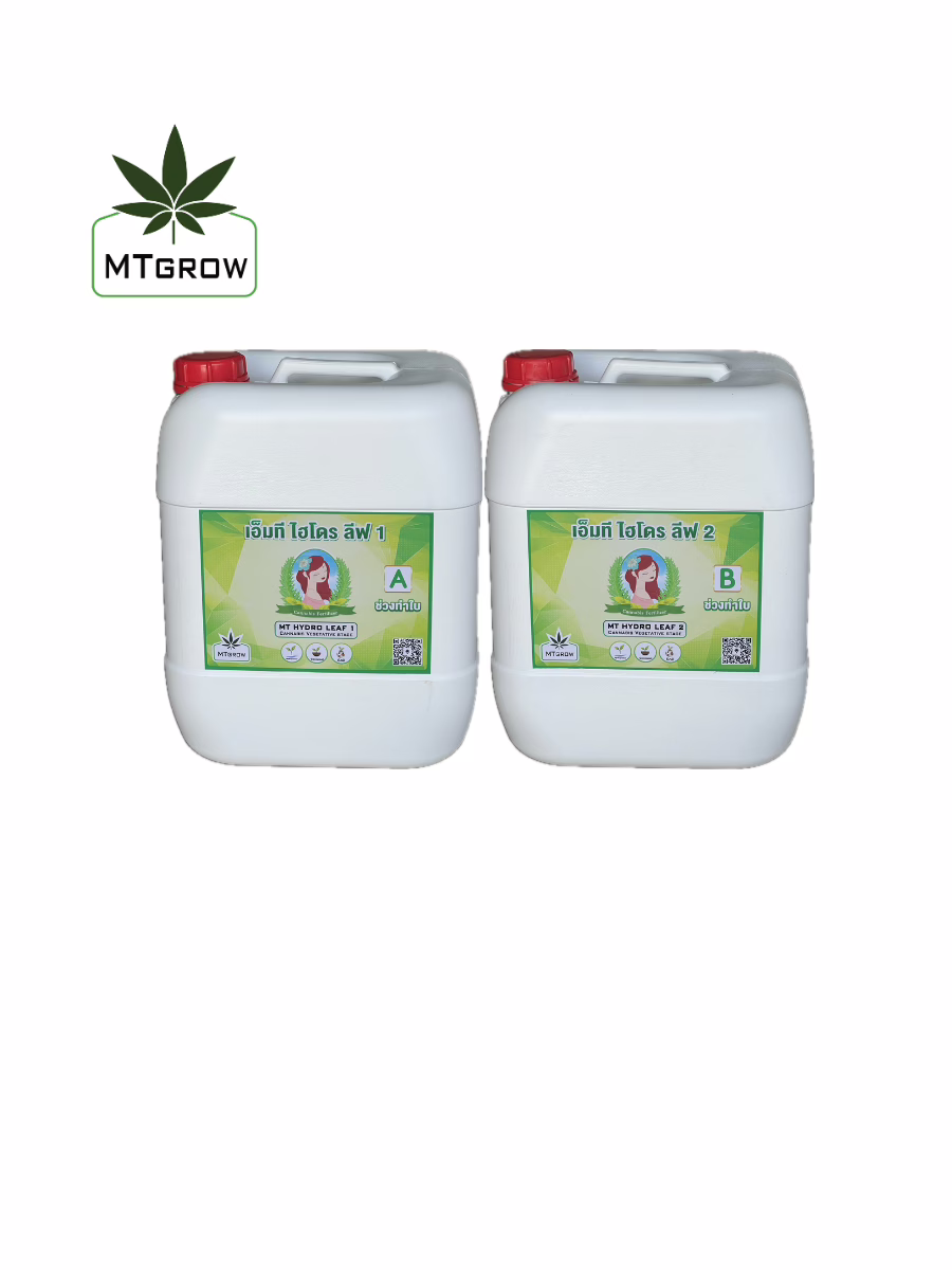 MT HYDRO LEAF ปุ๋ย AB สูตรทำใบ 20 ลิตร ใช้ได้ทั้งดินและระบบไฮโดรโปนิกส์ ใบเขียวแข็งแรง ธาตุอาหารครบ