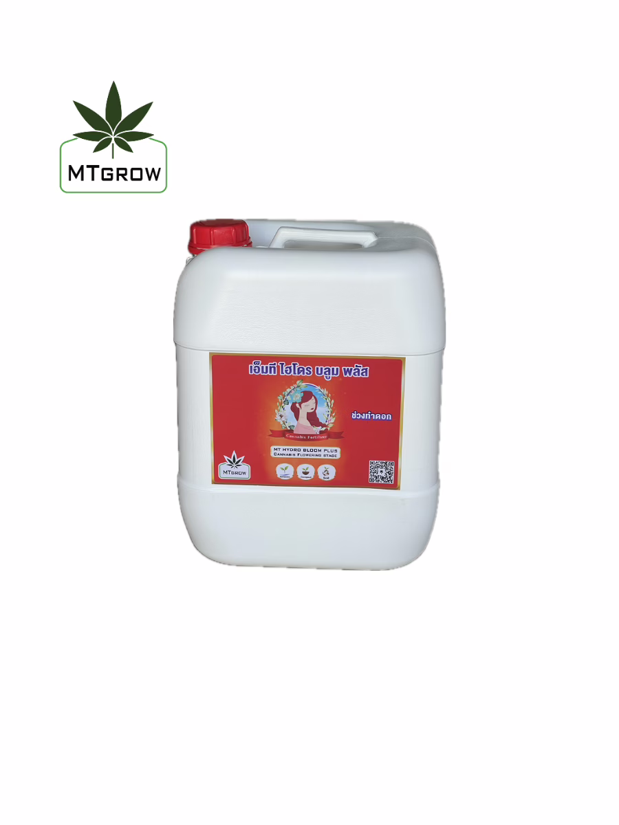 MT HYDRO BLOOM PLUS 20 ลิตร ช่วยเร่งการเติบโตของดอกไม้ เพิ่มไตรโคม, สี, กลิ่น และน้ำหนักของดอก